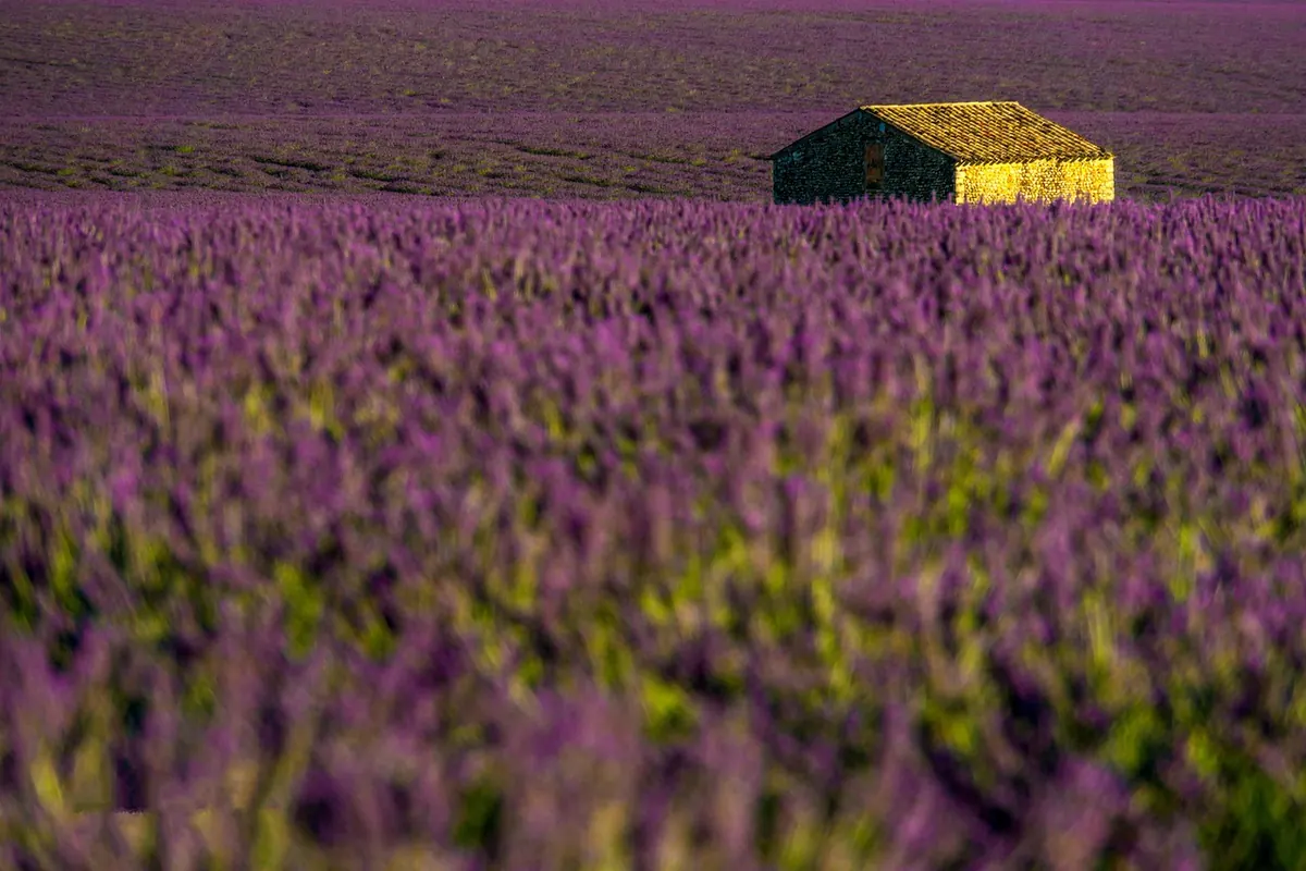Scottish Lifestyle: A Month-by-Month Guide to Seasonal Home Rituals